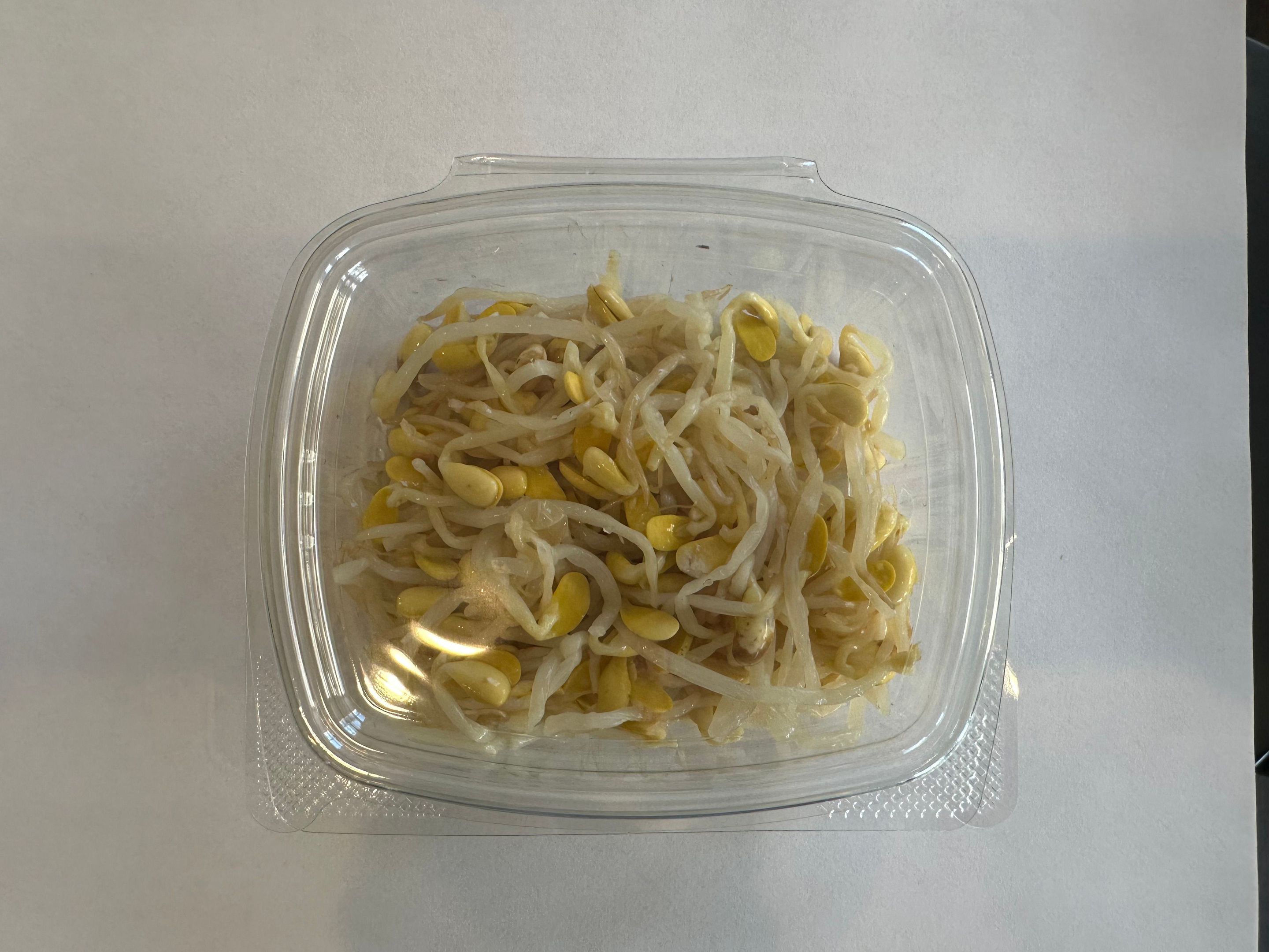 Strir Fried Bean Sprouts